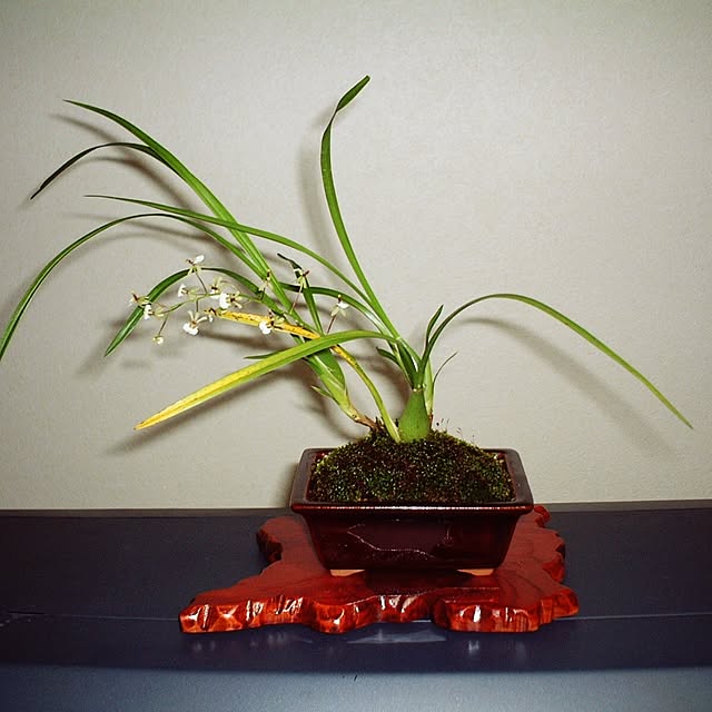 hiro1128さんの実例写真