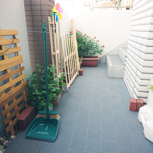 porinさんの実例写真