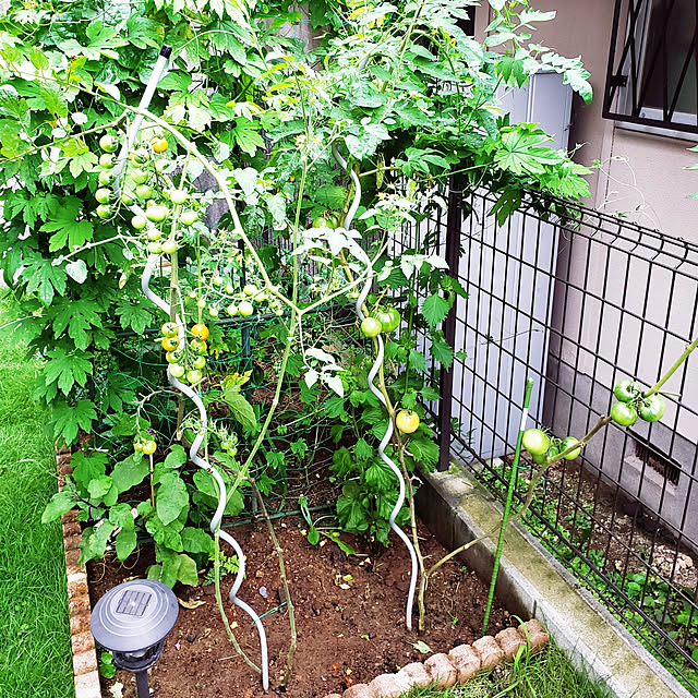 masaさんの実例写真