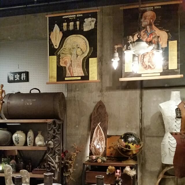 hotaruさんの実例写真