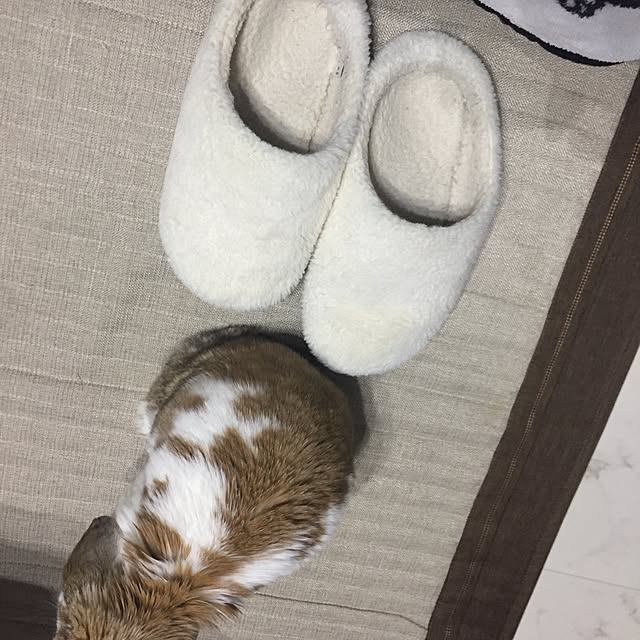 kanonさんの実例写真