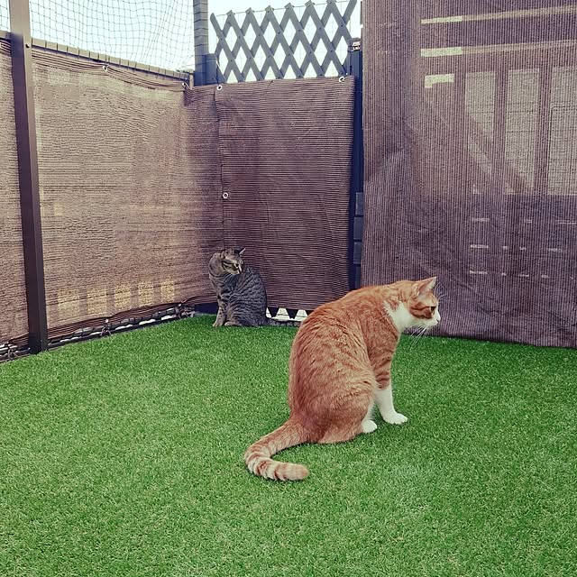 Nekologyさんの実例写真