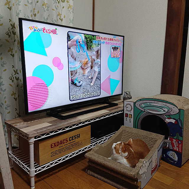 mugi77327732さんの実例写真