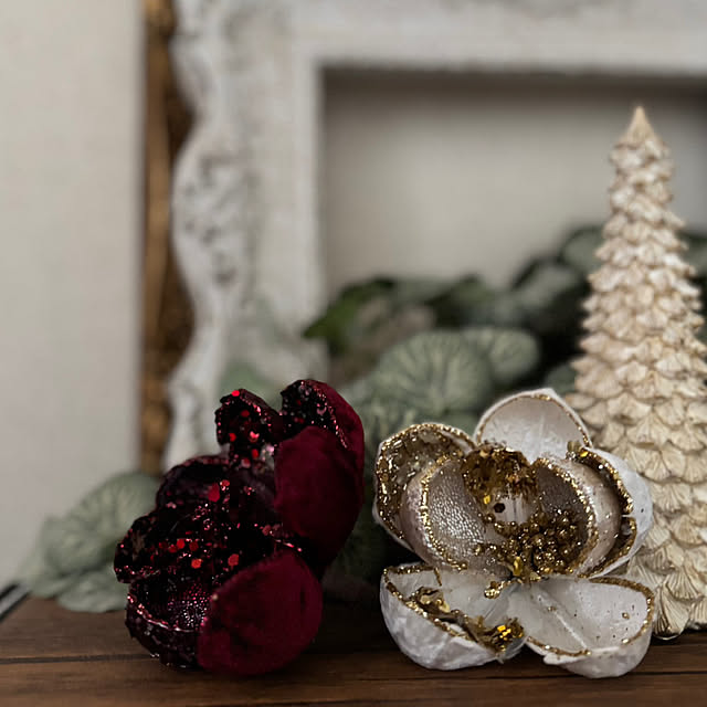 Kuniさんの実例写真