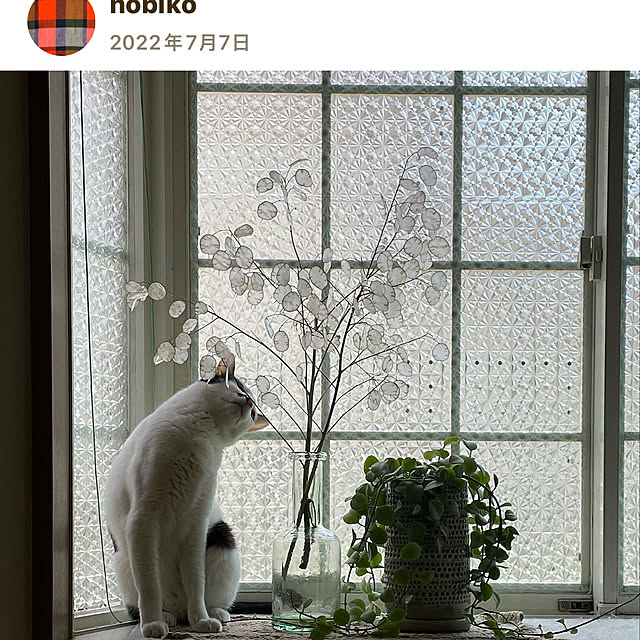 nobikoさんの部屋
