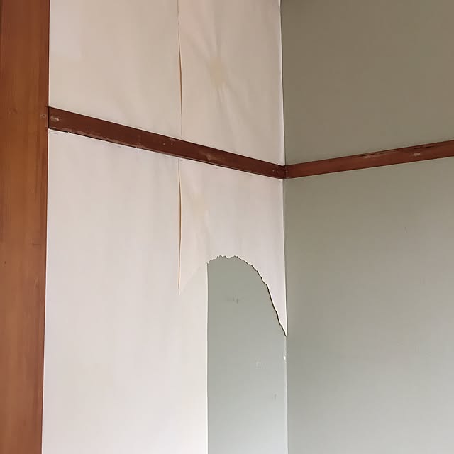 Tam_Shibaさんの実例写真