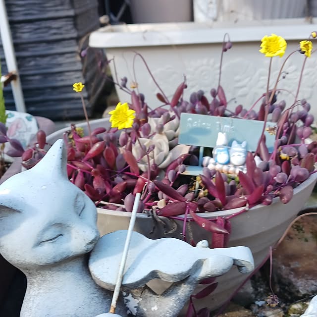 aiさんの部屋