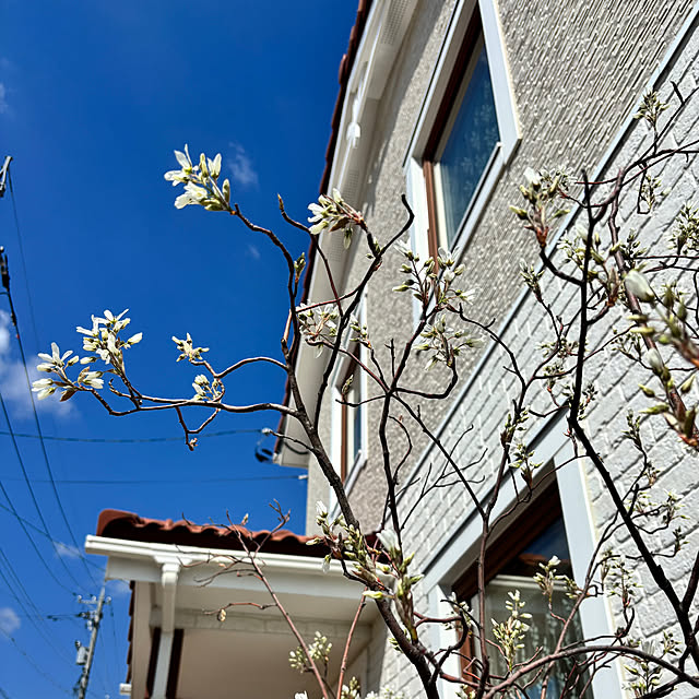 lalalaさんの実例写真