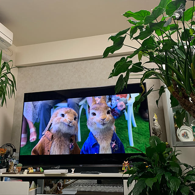 Aqettyさんの実例写真