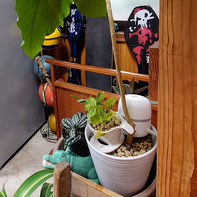 kikuさんの部屋