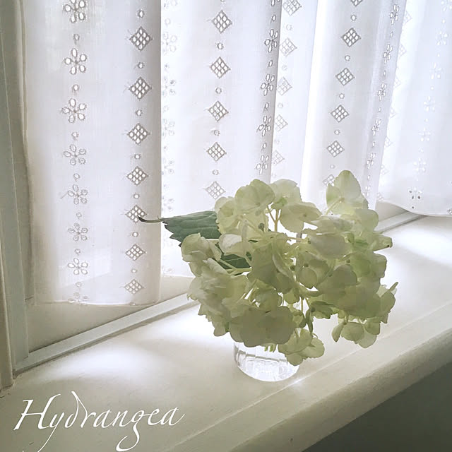 Claraさんの実例写真