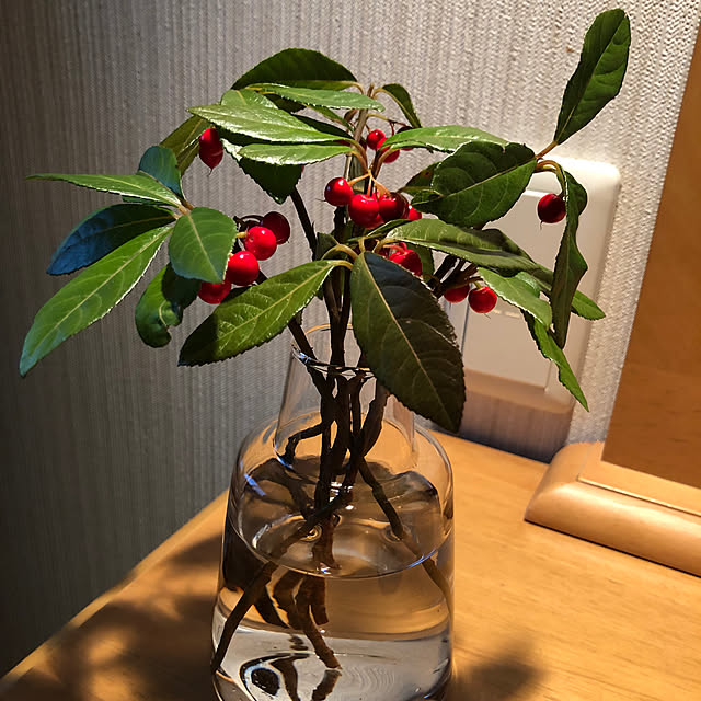 satoさんの実例写真