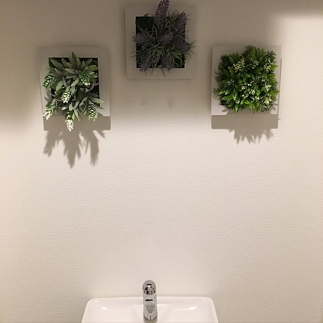 Kanaeさんの実例写真