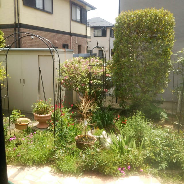 実例写真