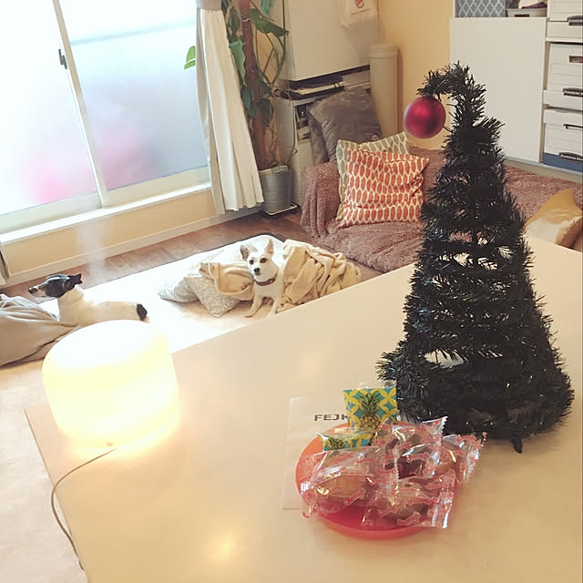 hariboさんの実例写真