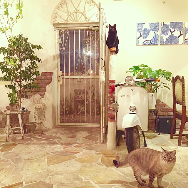 rosemaryさんの実例写真