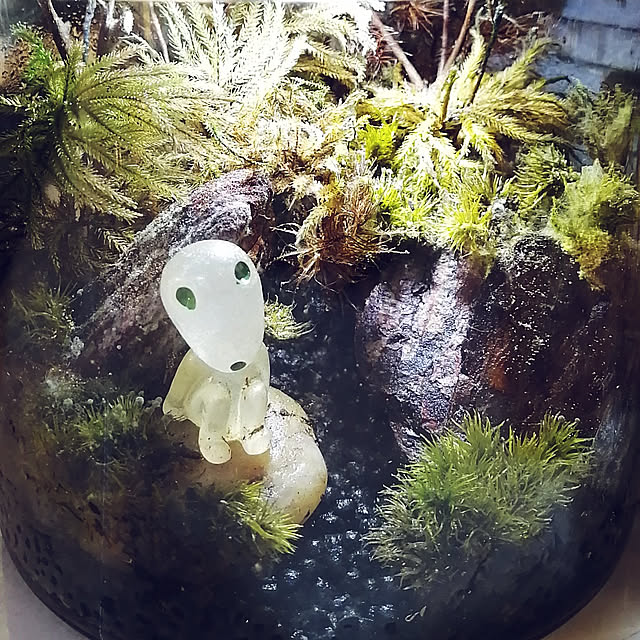 youdefさんの実例写真