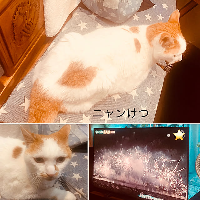 tututu0204さんの実例写真