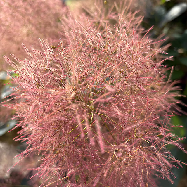 otanuさんの部屋