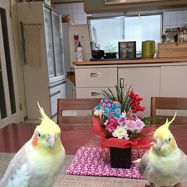 puriyuzuさんの実例写真