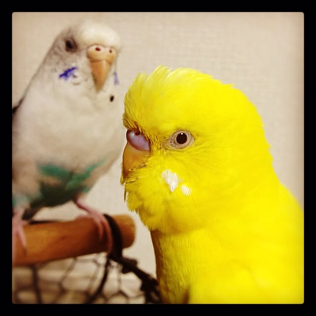 Rieさんの実例写真