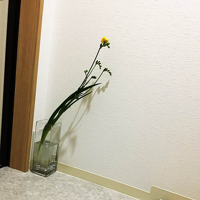 haruさんの実例写真