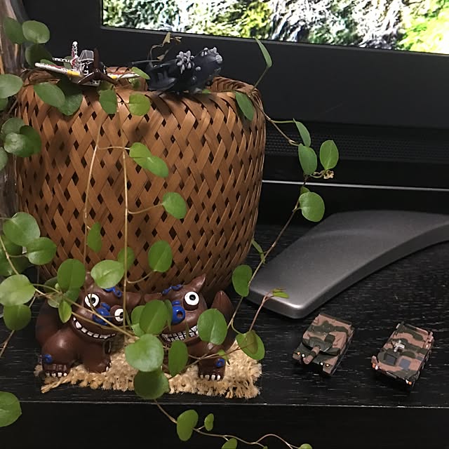 実例写真