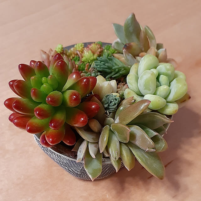 amtさんの実例写真
