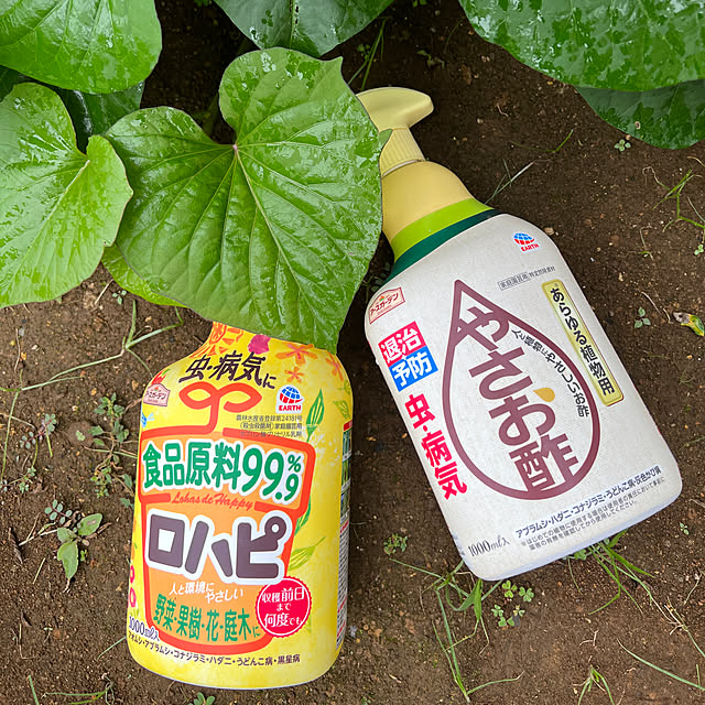 hamuさんの実例写真