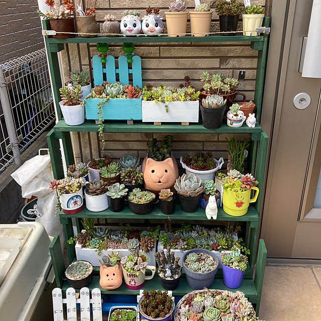 haruさんの実例写真