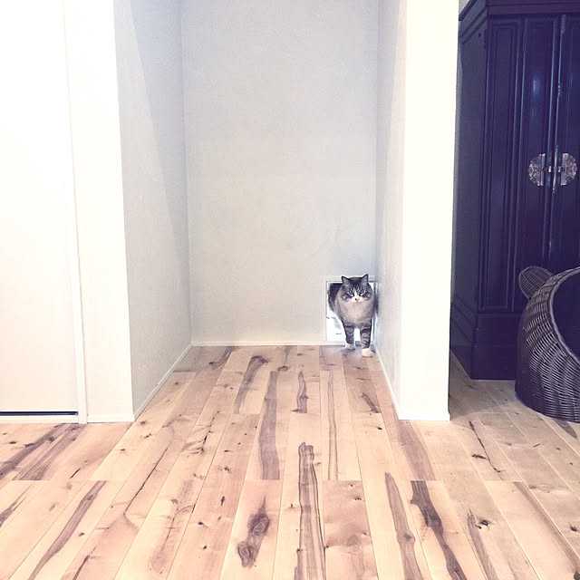 masyacanonさんの実例写真