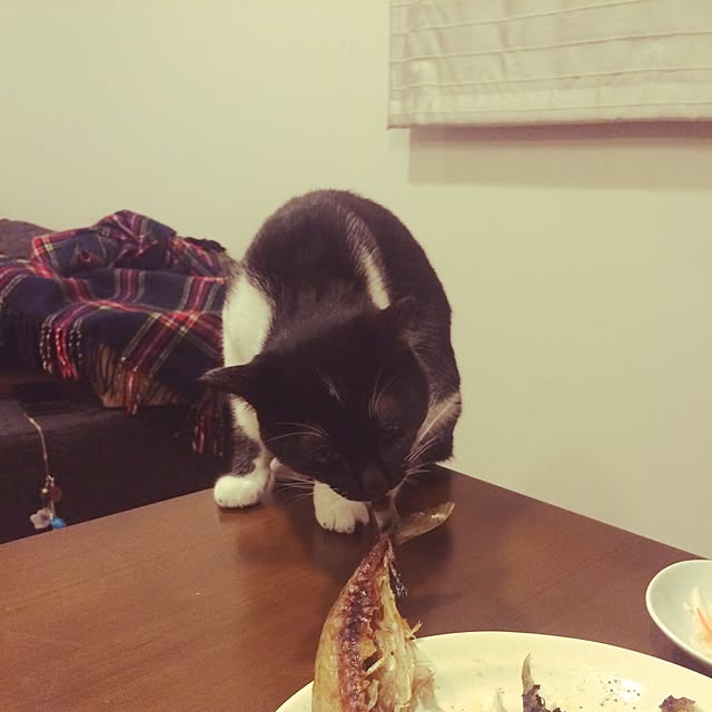 taeさんの実例写真