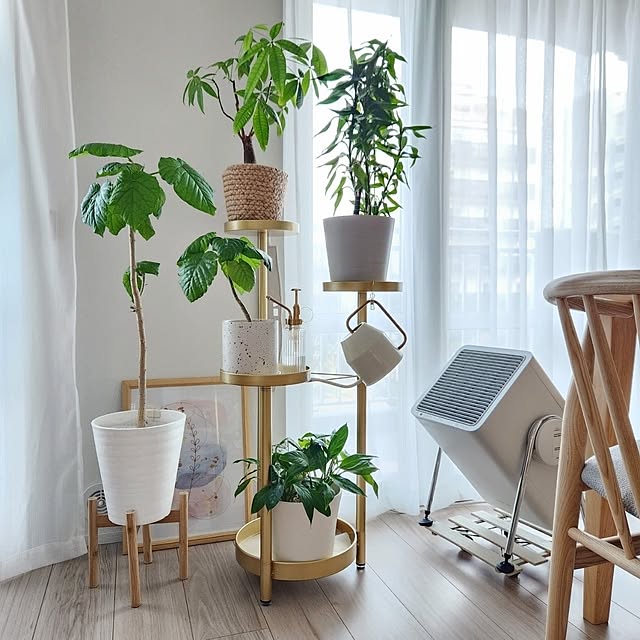 pinonさんの実例写真