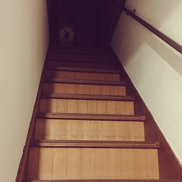 nmk526さんの実例写真