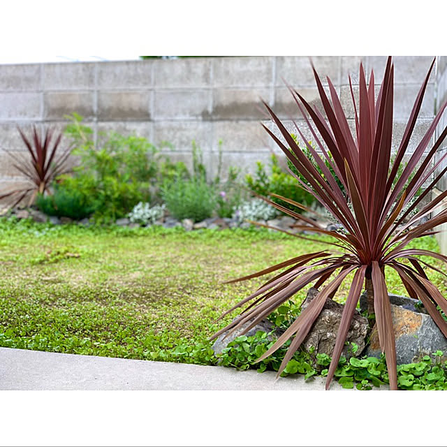 Joe.さんの実例写真