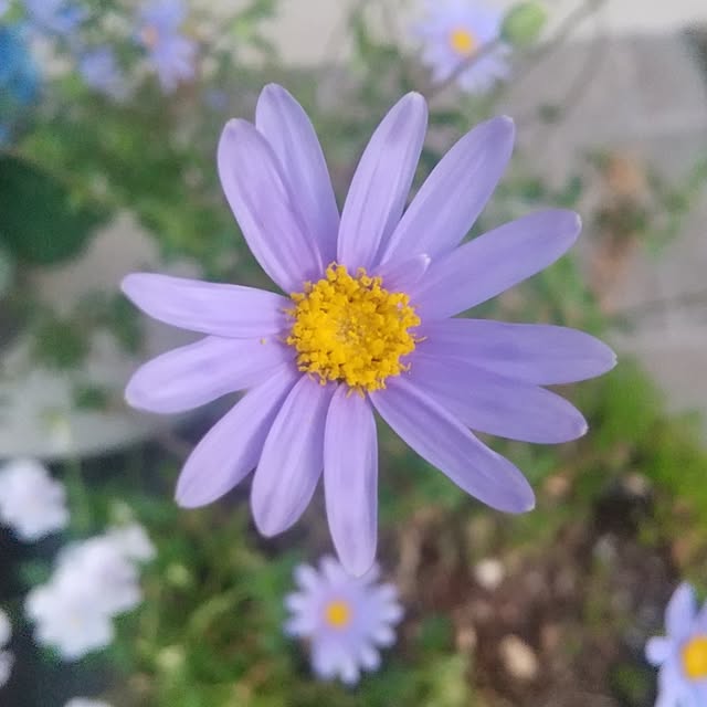 Rさんの実例写真