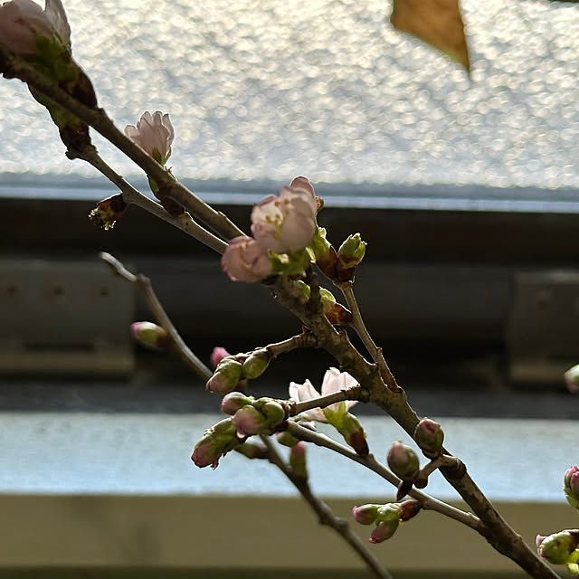 mizucchiさんの部屋