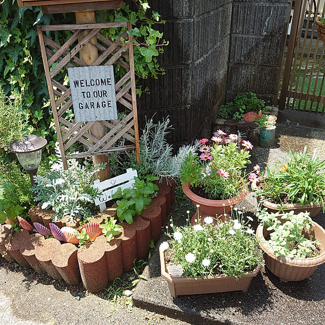 fukuさんの実例写真