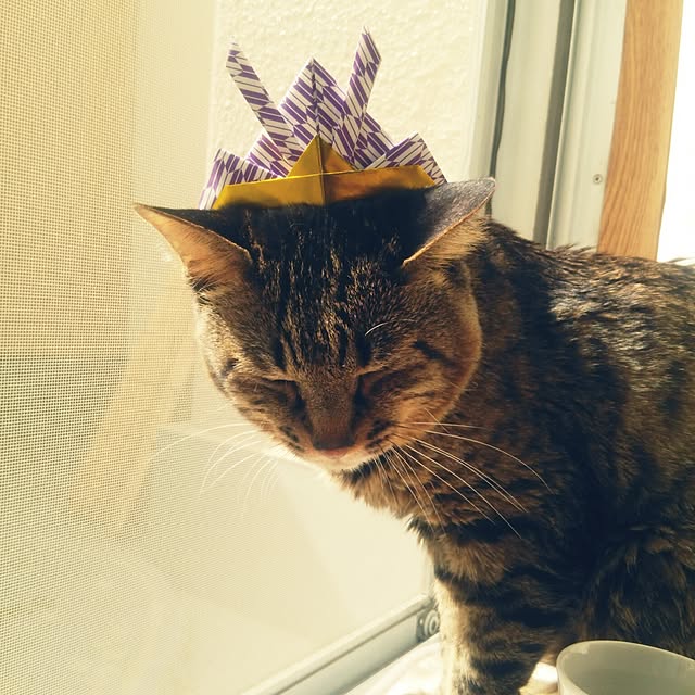 kittenblueさんの実例写真