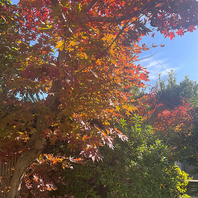 yuu.oさんの実例写真