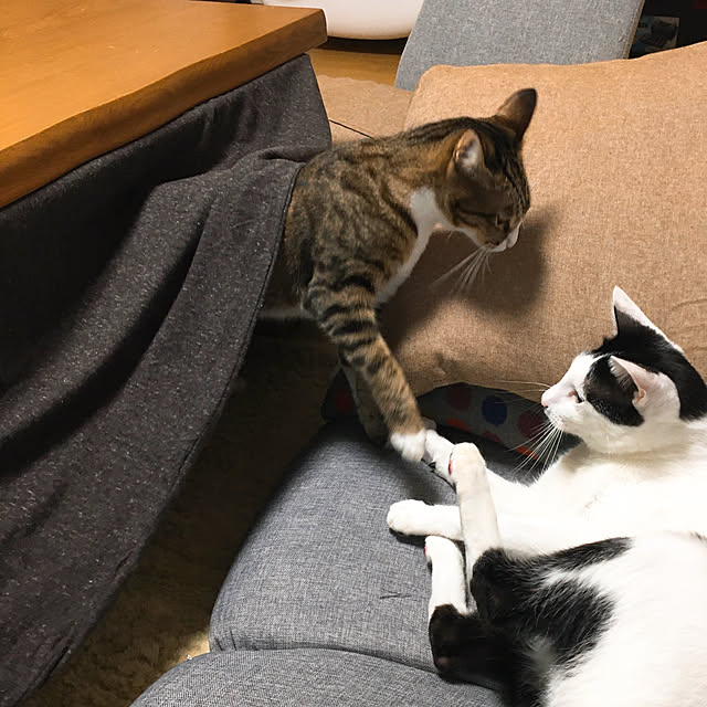 nobikoさんの実例写真