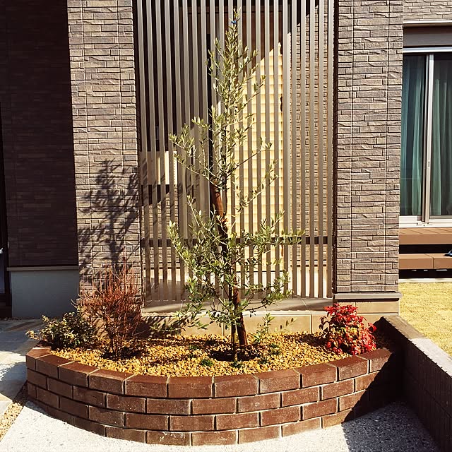danda.h0707さんの実例写真
