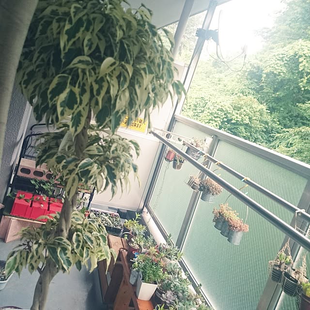 rookier05さんの実例写真