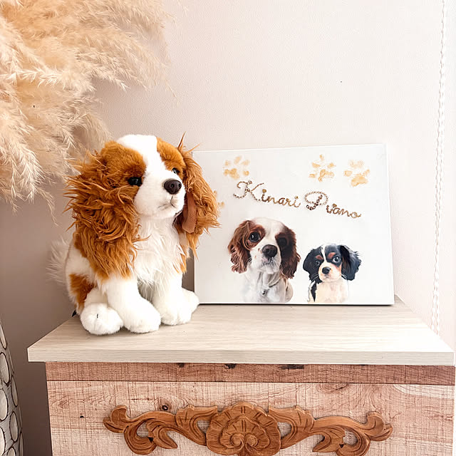 bonitaさんの部屋