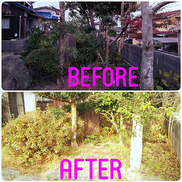 kumiさんの実例写真