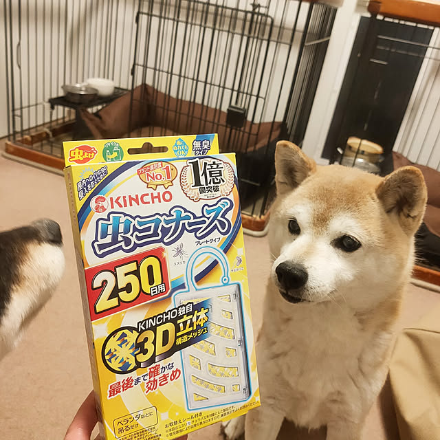 ponhanaさんの実例写真