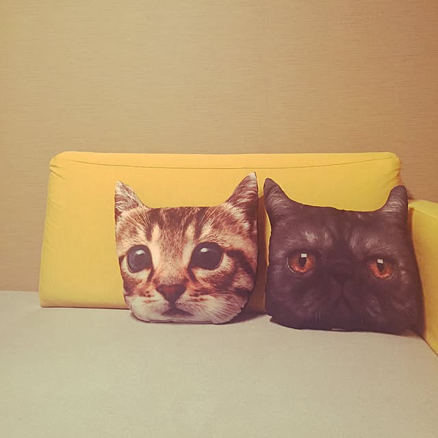 macoさんの実例写真