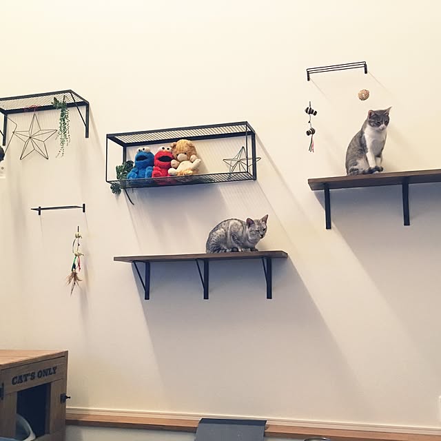 pepperさんの実例写真
