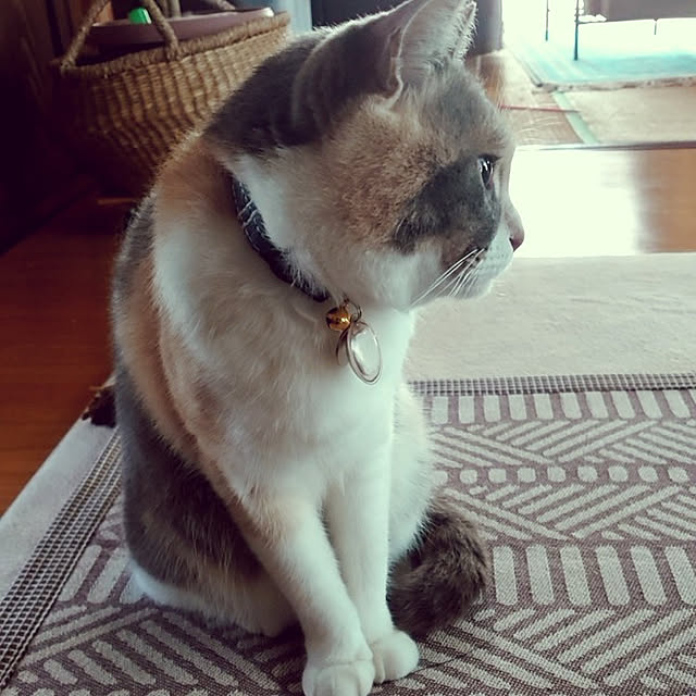 fukuさんの実例写真