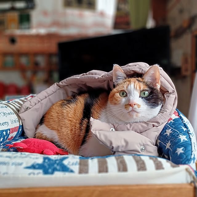 nanaさんの部屋